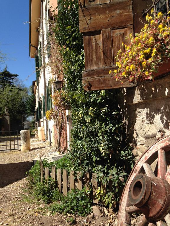Agriturismo Corte Pellegrini سان مارتينو بون ألبرغو المظهر الخارجي الصورة